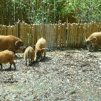 DSCF0139-2