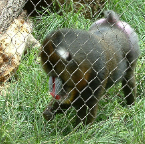 DSCF0142-2