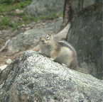 DSCF0144
