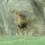 DSCF0145-2