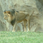 DSCF0146-2