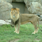 DSCF0150_1