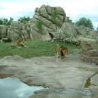 DSCF0153_1