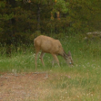 DSCF0155