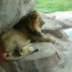 DSCF0156