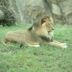 DSCF0157