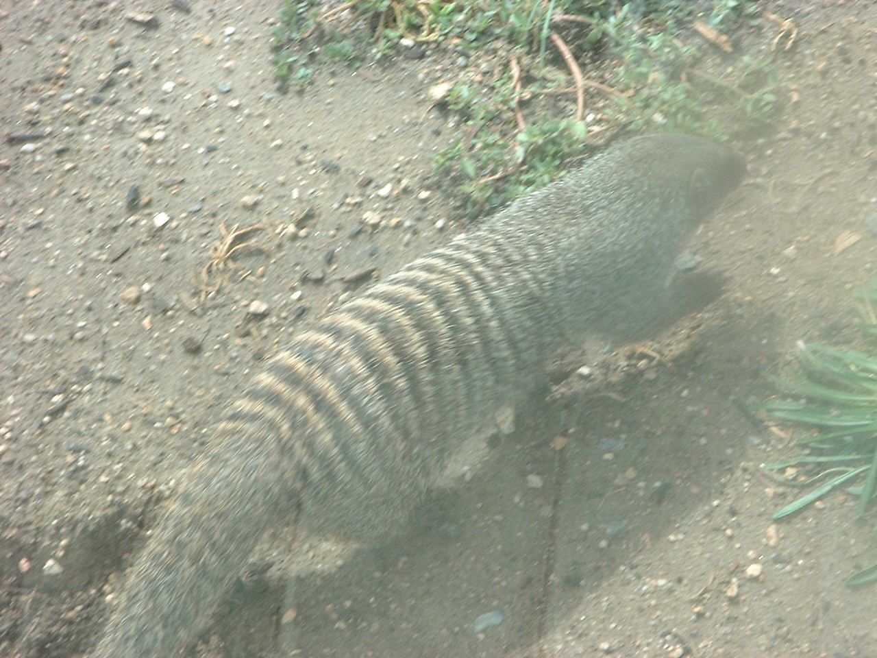 Loading Image