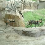 DSCF0159