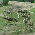 DSCF0161