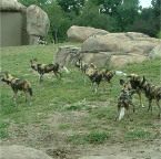 DSCF0162
