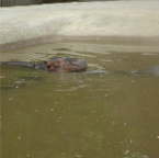 DSCF0162_1