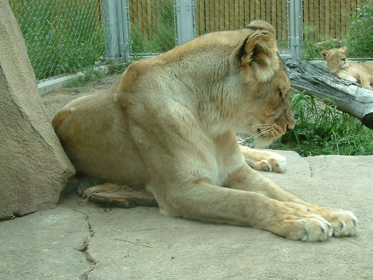 Loading Image
