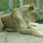 DSCF0164