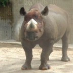 DSCF0164_1