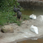 DSCF0166_1