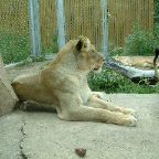 DSCF0166_2
