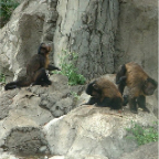 DSCF0167_1