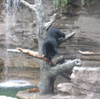DSCF0168_1