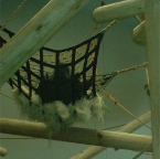 DSCF0172_1