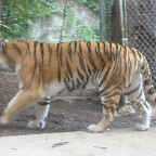 DSCF0177