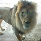 DSCF0177_1