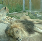 DSCF0186_1