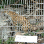 DSCF0190