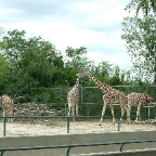 DSCF0198