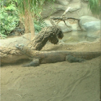 DSCF0203_1