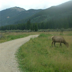 DSCF0204-2