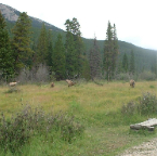 DSCF0205-2