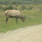DSCF0206-2