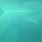 DSCF0206