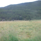 DSCF0208-2