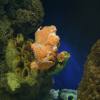 DSCF0208