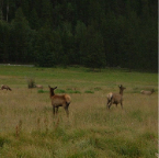 DSCF0209-2