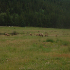DSCF0210-2