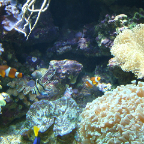 DSCF0210