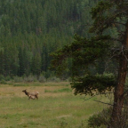 DSCF0211-2