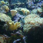 DSCF0211