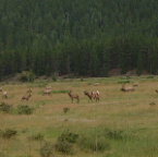 DSCF0212-2