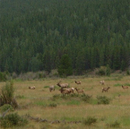 DSCF0213-2