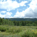DSCF0223