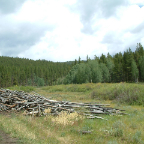 DSCF0224