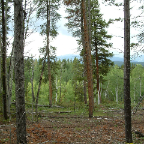 DSCF0226