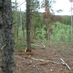 DSCF0228