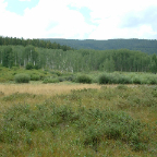 DSCF0230