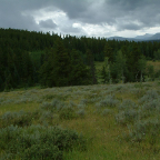 DSCF0234