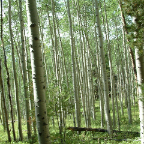 DSCF0252