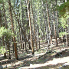 DSCF0255